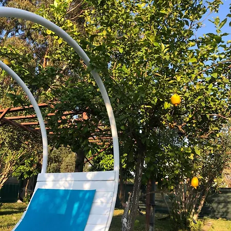 Marina Loft Проживание в семье